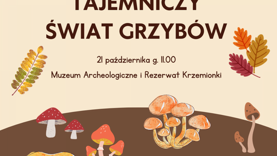 Wracają spotkania z cyklu sobota w muzeum 