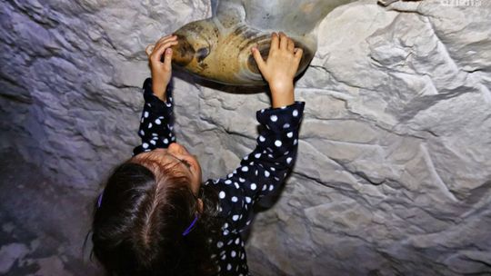 Współczesny kamieniołom kontra neolityczny park kulturowy