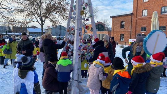 Wspólnie ozdobili choinkę 