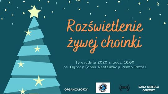 Wspólnie rozświetlmy żywą choinkę