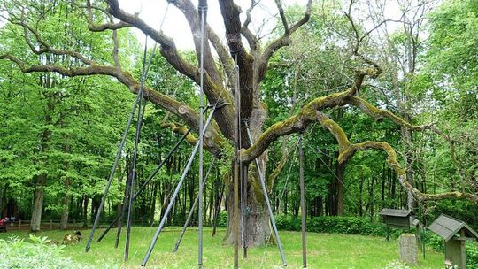 Wszystkie Bartki ściągną do Zagnańska