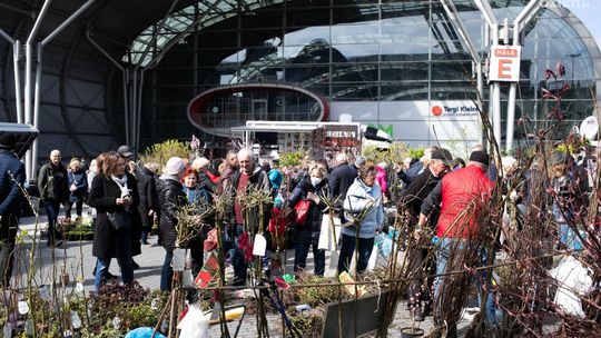 Wszystko dla domu i ogrodu w Targach Kielce