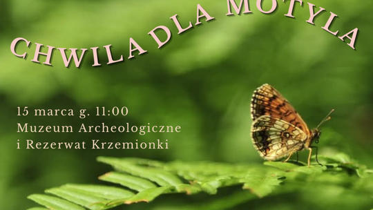 Wszystko o motylach w Rezerwacie Krzemionki