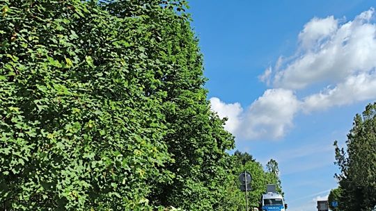 Wypadek na DK74 w Ćmińsku. Dwie osoby trafiły do szpitala