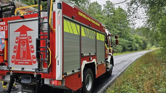 Wypadł z jezdni i ściął drzewo. Droga była zablokowana