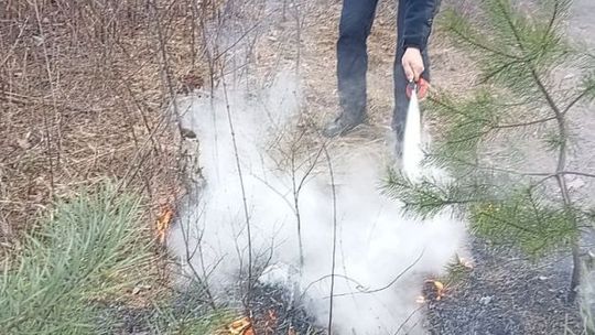 Wypalanie traw jest nielegalne