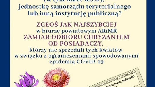 Wypełnij zgłoszenie. Odbierz bezpłatnie chryzantemy 