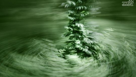 Wystawa „Rok 2022 w obiektywach polskich fotografek” w Kielcach