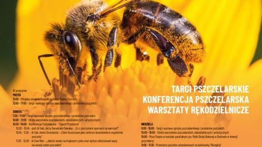 XV edycja Świętokrzyskiego Święta Pszczoły od dziś w Bałtowie