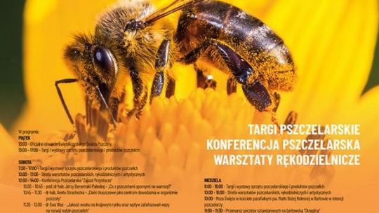 XV Świętokrzyskie Święto Pszczoły