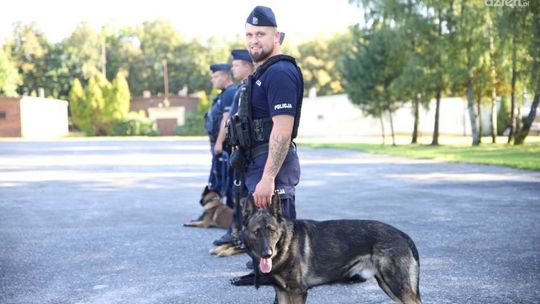 XX Kynologiczne Mistrzostwa Polski - etap wojewódzki