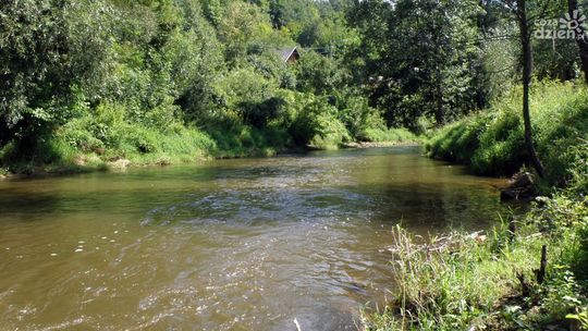 Z rzeki wyłowiono ludzkie nogi! Wstrząsające odkrycie w Kamiennej