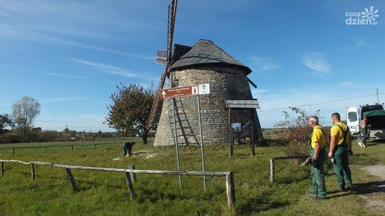 Zabytkowy wiatrak w Szwarszowicach przechodzi renowację