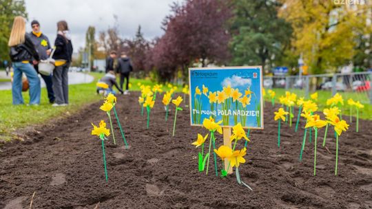 Zainaugurowano świętokrzyską akcję „Pola Nadziei” 2025/2026