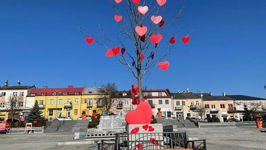 Zakochaj się w Ostrowcu 
