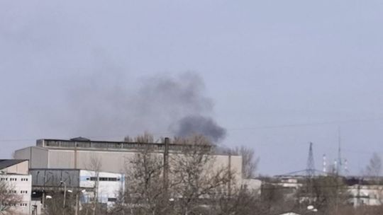 Zamiast kwarantanny podpalają trawę