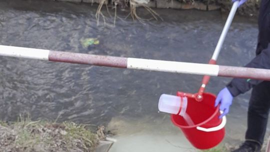 Zanieczyszczenia z terenu budowy prawdopodobną przyczyną zatrucia Silnicy