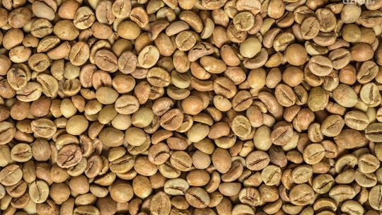 Zanurz się w świat pełen aromatu