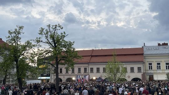 Zapytaliśmy kielczan, za co popierają Sławomira Mentzena 