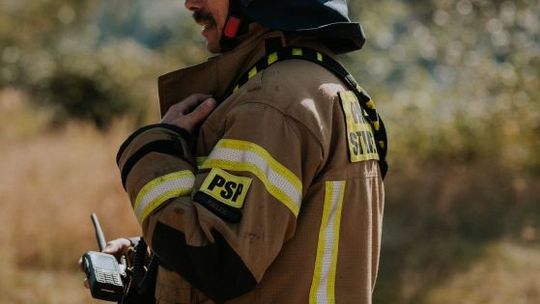 Zatrważająca sytuacja lasów i traw 