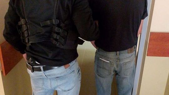 Zatrzymano podpalacza. Jego ofiary to gołębie