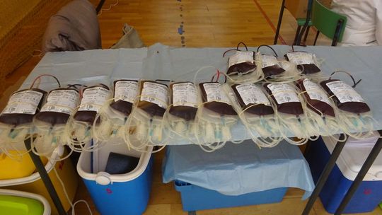 Zbigniew Tobiasz: Krew zamiast kwiatka