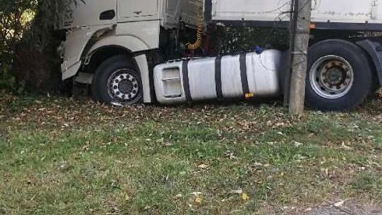 Zderzenie ciężarówki przewożącej zwierzęta z BMW