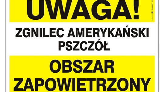 Zgnilec amerykański w Zgórsku