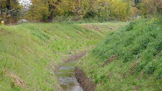 Zielone światło dla ujarzmienia Modły!