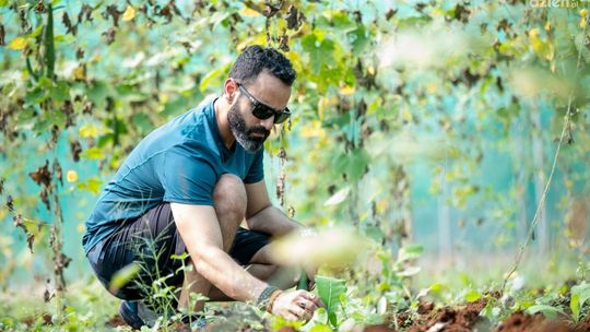 Zielone terapie - Jak ogrodnictwo wpływa na zdrowie psychiczne