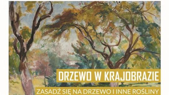 Zielony piknik na Rynku