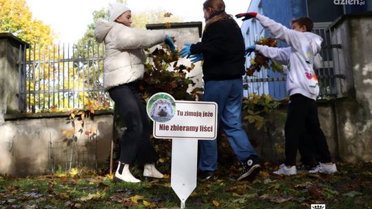 Zimowe „miejscówki” dla jeży