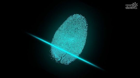 Złodzieje grasowali nawet w Walentynki