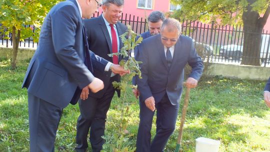 Zobacz, jak powiat świętował dwudziestkę