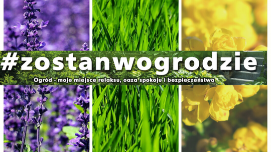 "Zostań w ogrodzie" - trawnik