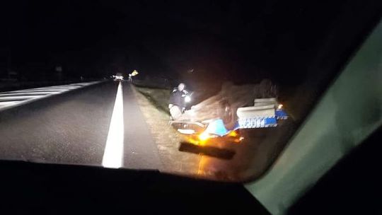 Zwierzę wybiegło przed maskę. Radiowóz w rowie