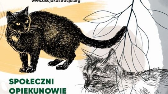 Zwierzowa Akcja Kastracja zakończona 