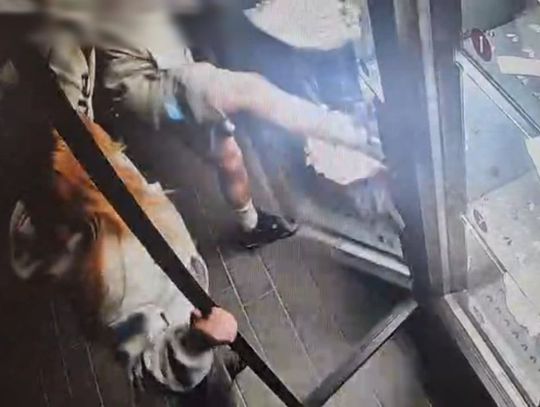 15-latek uszkodził automat kwiatowy. Straty oszacowano na blisko 1600 złotych 15-latek uszkodził automat kwiatowy. Straty oszacowano na blisko 1600 złotych