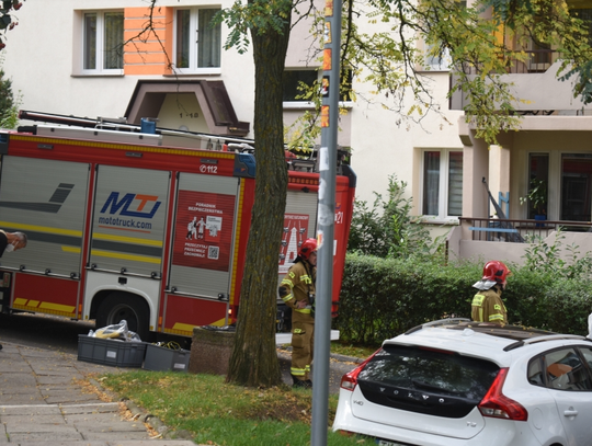 Tragedia w Kielcach. Nie żyje czteroosobowa rodzina. Prokuratura przedstawia wstępną hipotezę