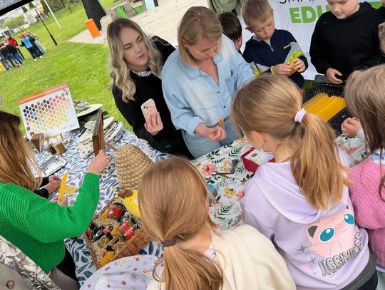 W Kielcach powstała miejska pasieka edukacyjna z recyklingu W Kielcach powstała miejska pasieka edukacyjna z recyklingu