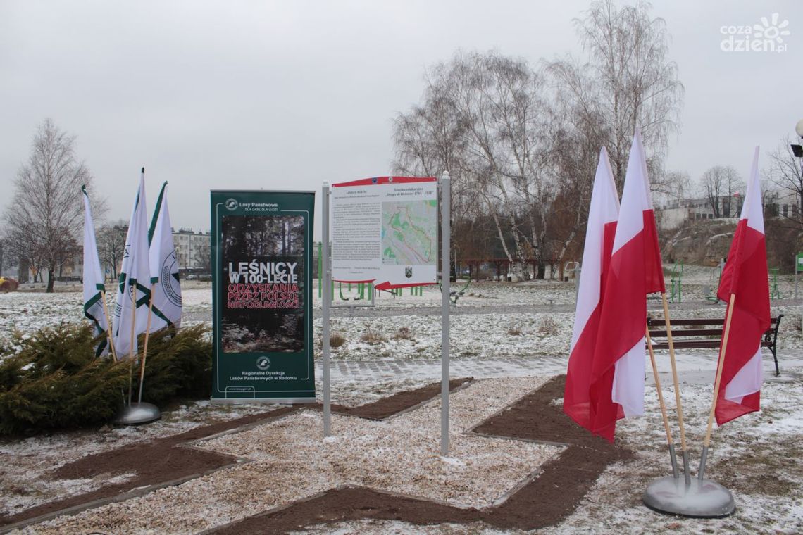 100 dębów na 100-lecie odzyskania Niepodległości 100 dębów na 100-lecie odzyskania Niepodległości