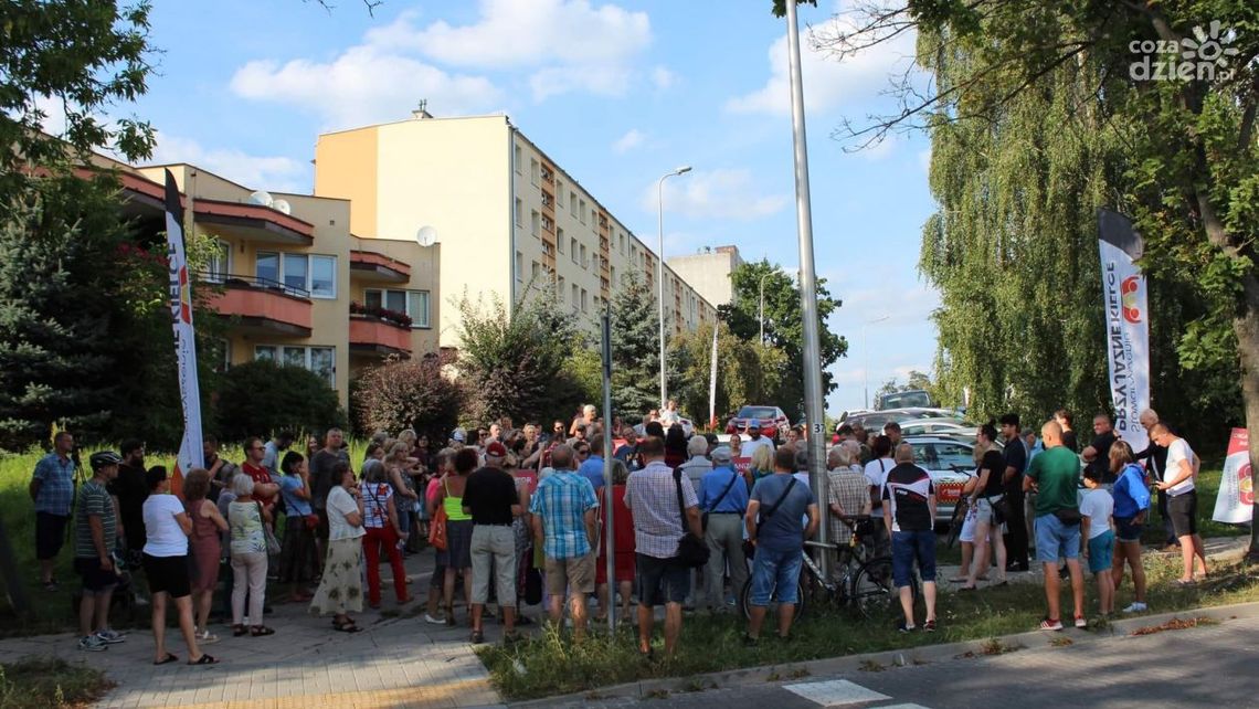 1700 podpisów w obronie 84 drzew 1700 podpisów w obronie 84 drzew