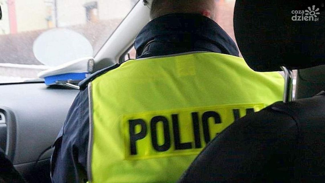 20-latek odpowie za znieważenie policjantów