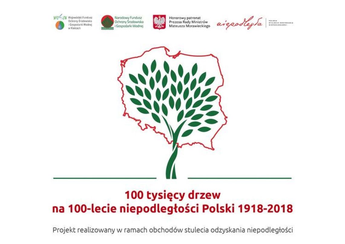 200 drzewek dla starachowiczan 200 drzewek dla starachowiczan