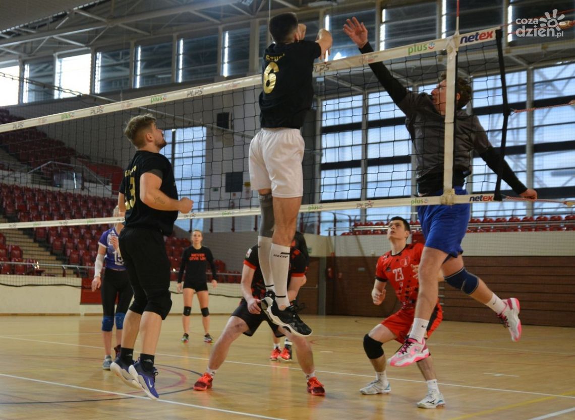 40% Umiejętności najlepszym „dzikim” zespołem w Hali KSZO