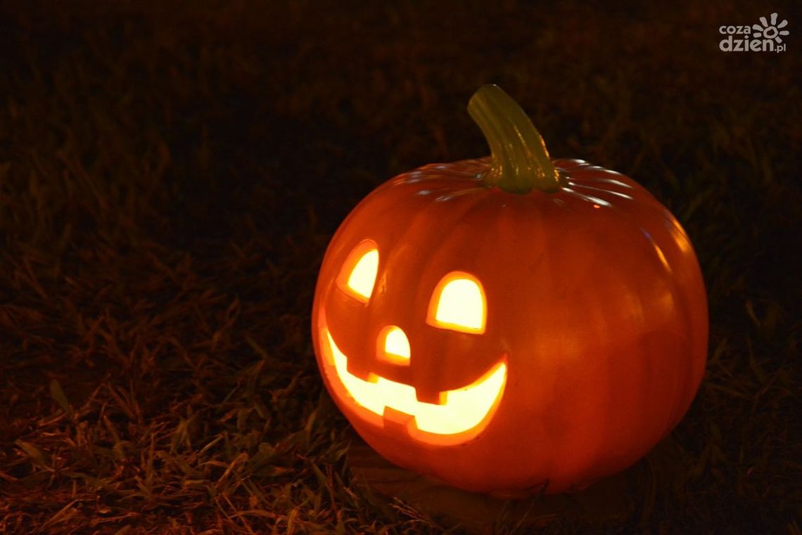 5-Dyniowy Bieg Po Szczęście w Ostrowcu Świętokrzyskim 5-Dyniowy Bieg Po Szczęście w Ostrowcu Świętokrzyskim