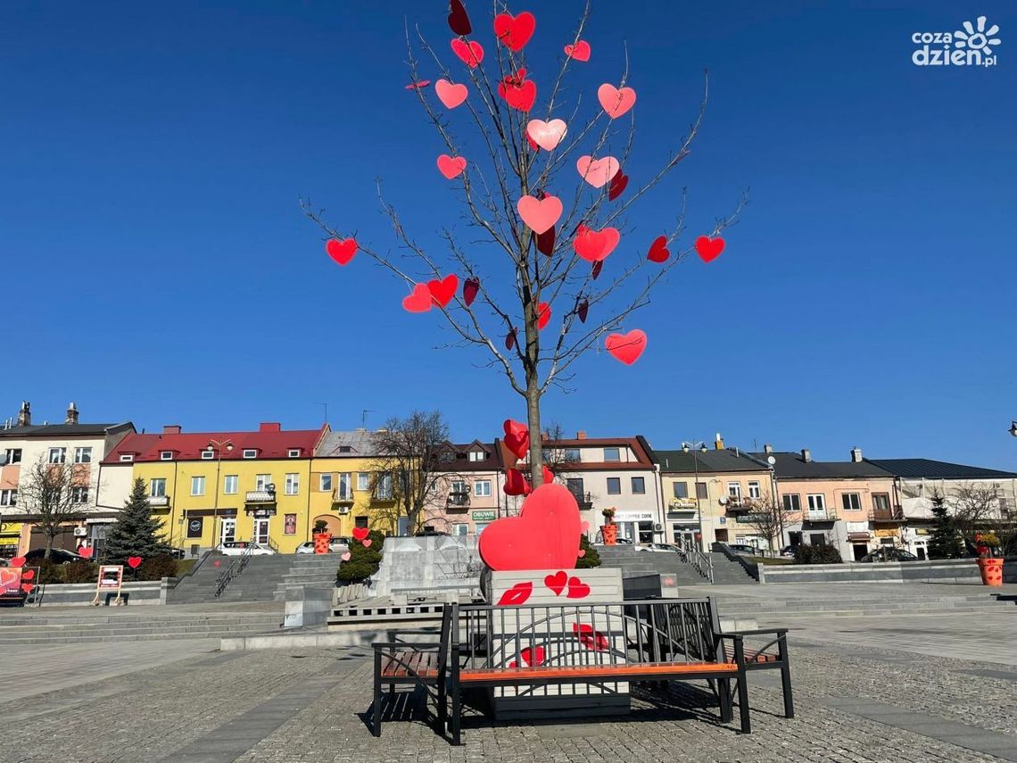 6. miejsce Ostrowca w ogólnopolskim Rankingu Finansowym Samorządu Terytorialnego 
