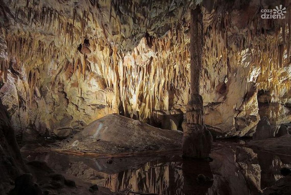 60 lat Jaskini Raj na mapie turystycznej Polski - konferencja pełna ciekawostek 60 lat Jaskini Raj na mapie turystycznej Polski - konferencja pełna ciekawostek