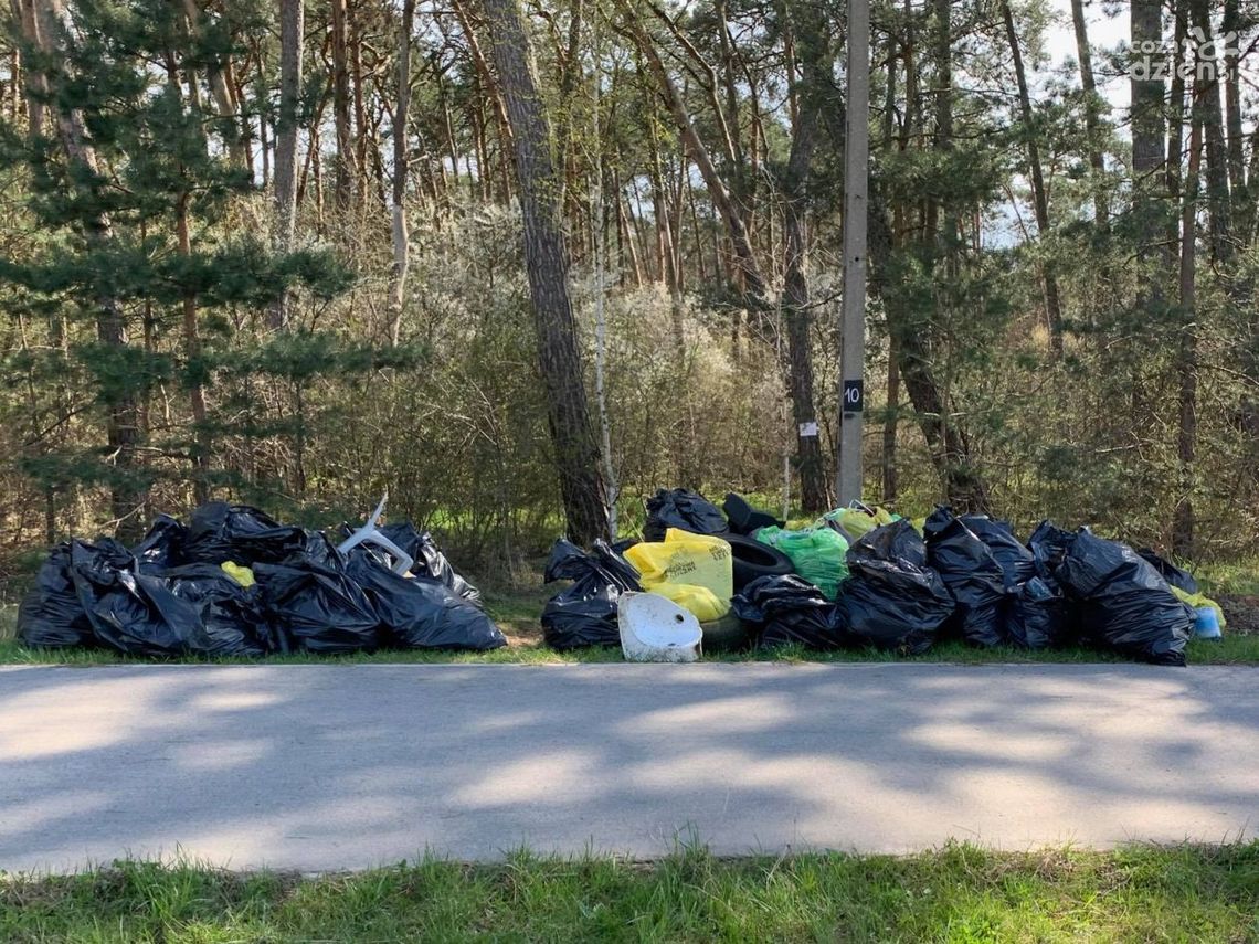 Akcja LAS DLA NAS przeszła nasze najśmielsze oczekiwania Akcja LAS DLA NAS przeszła nasze najśmielsze oczekiwania