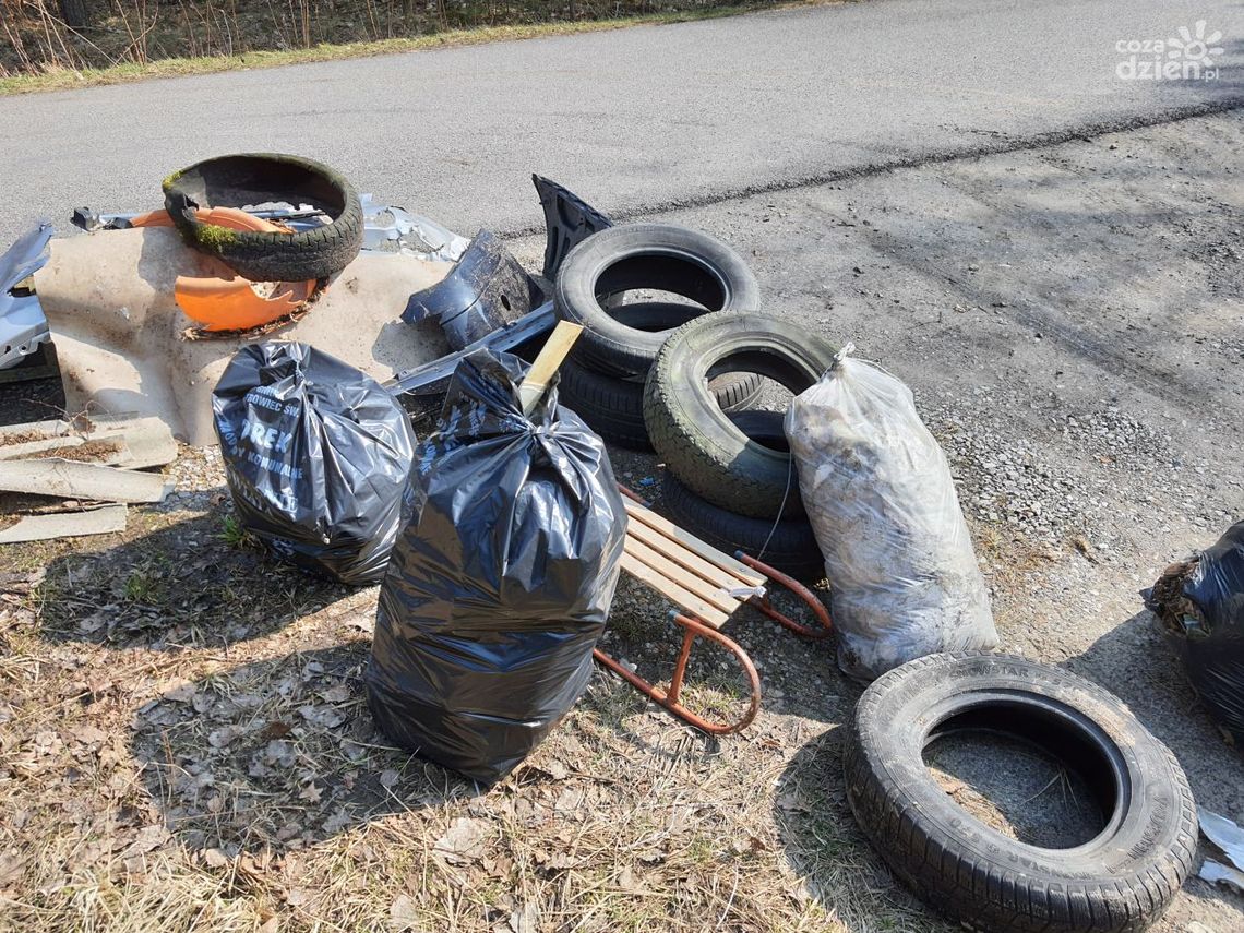 Akcja #odsmiećMylas- zaskakujące wyniki Akcja #odsmiećMylas- zaskakujące wyniki